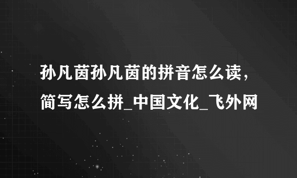 孙凡茵孙凡茵的拼音怎么读，简写怎么拼_中国文化_飞外网