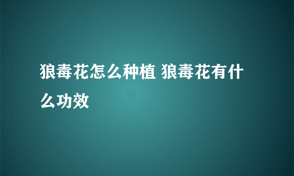 狼毒花怎么种植 狼毒花有什么功效