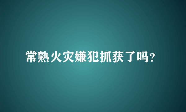 常熟火灾嫌犯抓获了吗？