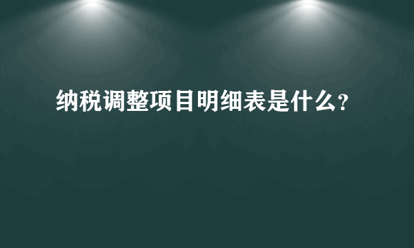 纳税调整项目明细表是什么？