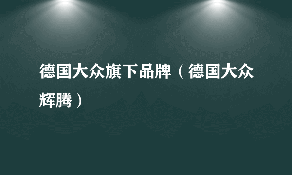 德国大众旗下品牌（德国大众辉腾）