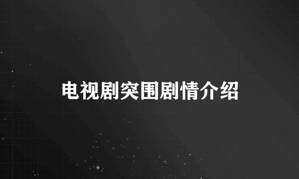 电视剧突围剧情介绍