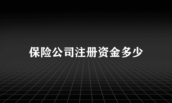 保险公司注册资金多少