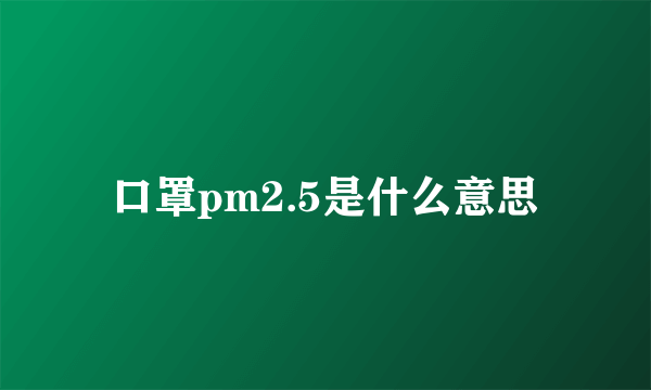 口罩pm2.5是什么意思