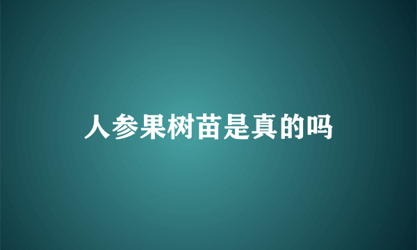 人参果树苗是真的吗