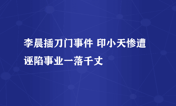 李晨插刀门事件 印小天惨遭诬陷事业一落千丈