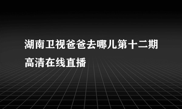 湖南卫视爸爸去哪儿第十二期高清在线直播