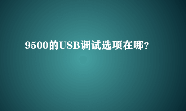 9500的USB调试选项在哪？