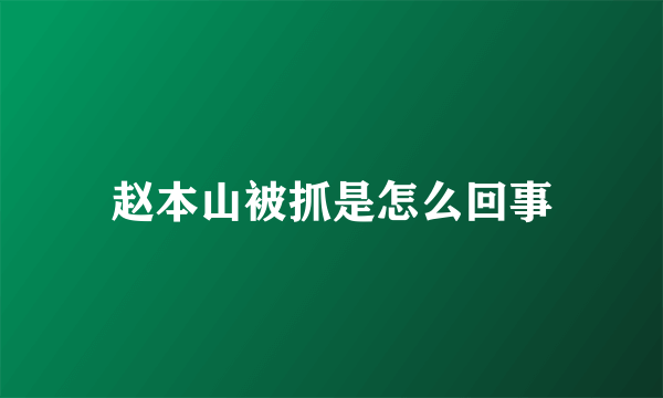 赵本山被抓是怎么回事