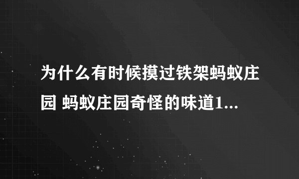 为什么有时候摸过铁架蚂蚁庄园 蚂蚁庄园奇怪的味道10.29