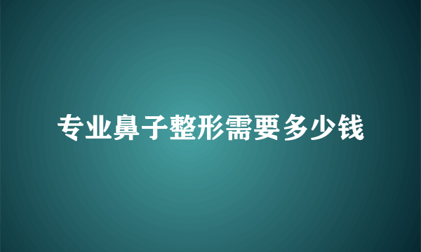 专业鼻子整形需要多少钱