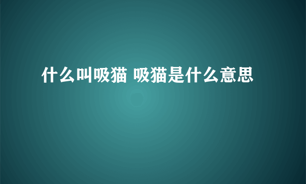 什么叫吸猫 吸猫是什么意思