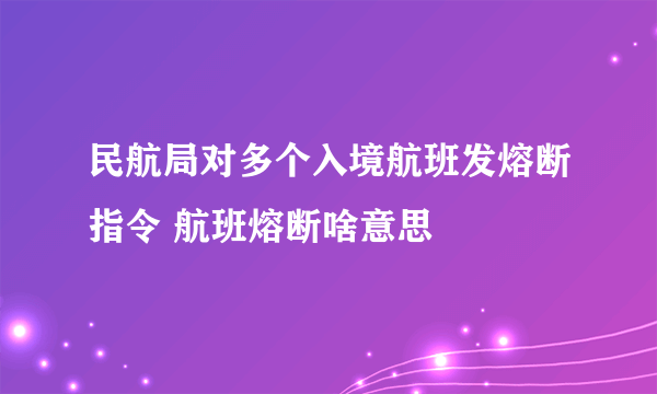 民航局对多个入境航班发熔断指令 航班熔断啥意思