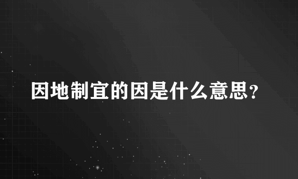 因地制宜的因是什么意思？