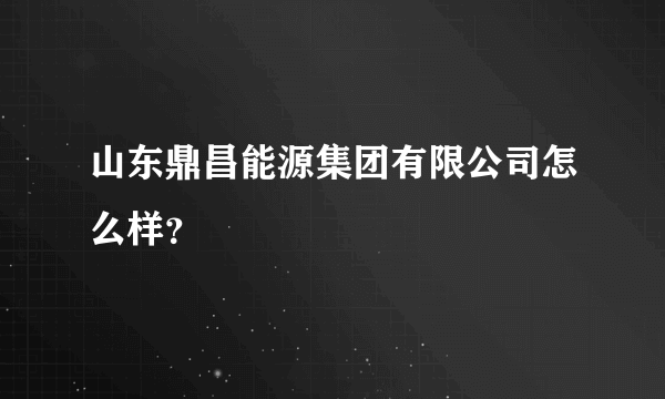 山东鼎昌能源集团有限公司怎么样？