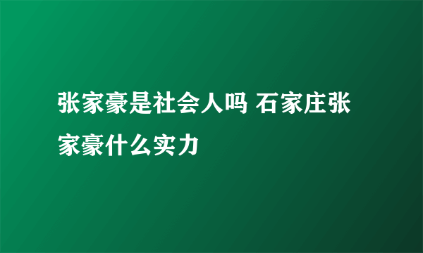 张家豪是社会人吗 石家庄张家豪什么实力