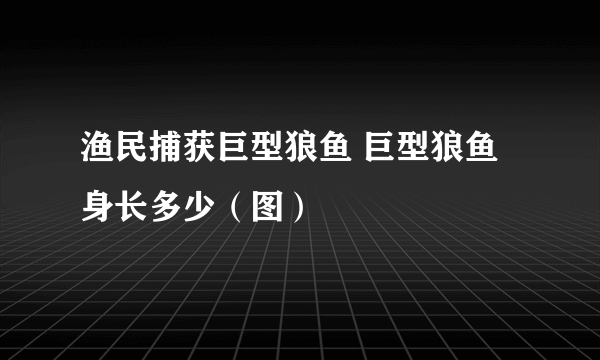 渔民捕获巨型狼鱼 巨型狼鱼身长多少（图）