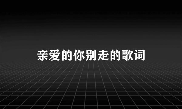 亲爱的你别走的歌词