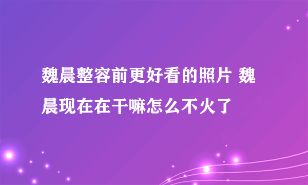 魏晨整容前更好看的照片 魏晨现在在干嘛怎么不火了