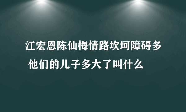 江宏恩陈仙梅情路坎坷障碍多 他们的儿子多大了叫什么