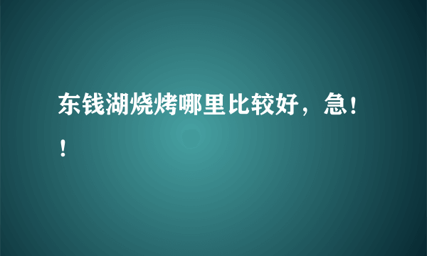 东钱湖烧烤哪里比较好，急！！