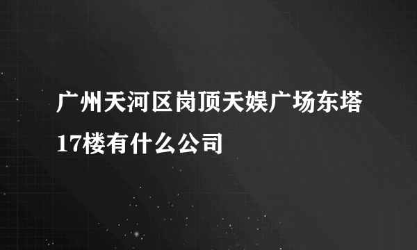 广州天河区岗顶天娱广场东塔17楼有什么公司