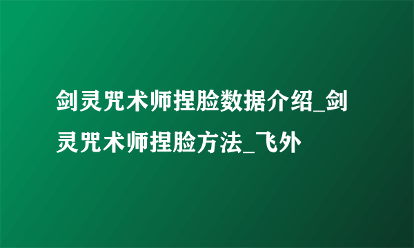 剑灵咒术师捏脸数据介绍_剑灵咒术师捏脸方法_飞外