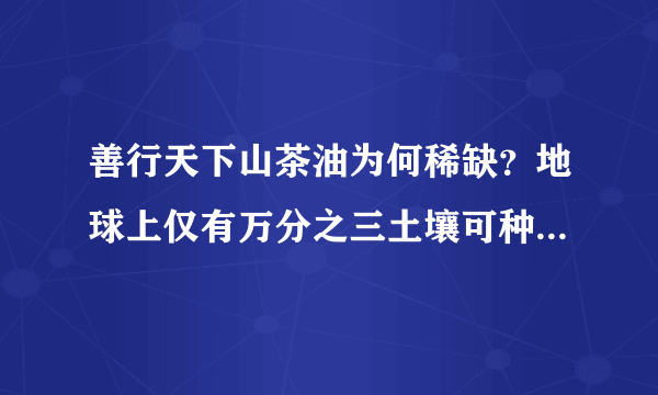 善行天下山茶油为何稀缺？地球上仅有万分之三土壤可种植油茶树