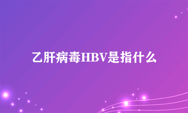 乙肝病毒HBV是指什么