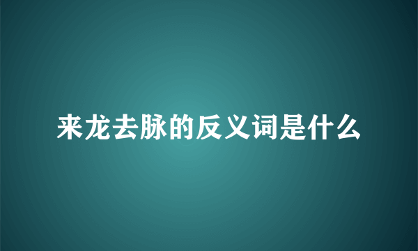 来龙去脉的反义词是什么