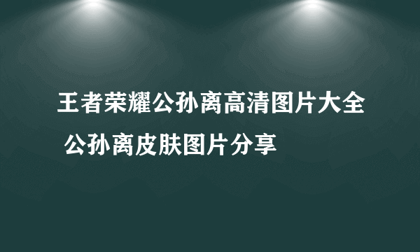 王者荣耀公孙离高清图片大全 公孙离皮肤图片分享