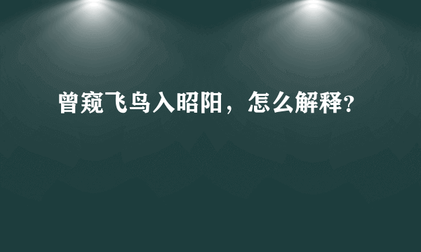 曾窥飞鸟入昭阳，怎么解释？