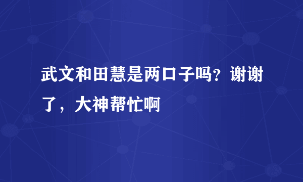 武文和田慧是两口子吗？谢谢了，大神帮忙啊