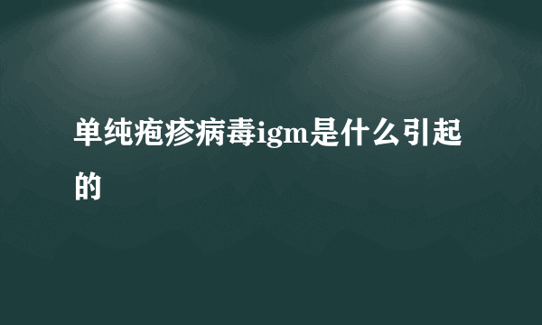 单纯疱疹病毒igm是什么引起的