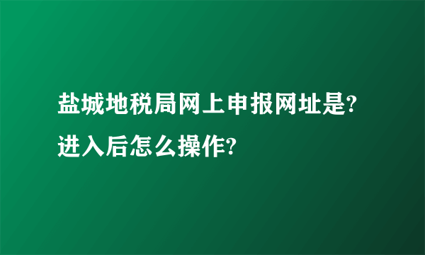 盐城地税局网上申报网址是?进入后怎么操作?