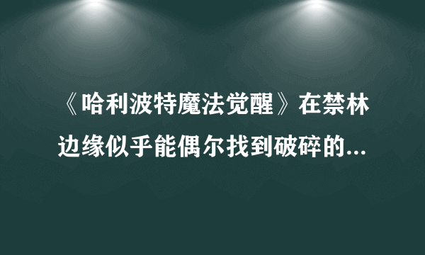 《哈利波特魔法觉醒》在禁林边缘似乎能偶尔找到破碎的福特车的零件碎片位置全介绍 在禁林边缘似乎能偶尔找到破碎的福特车的零件碎片在哪里