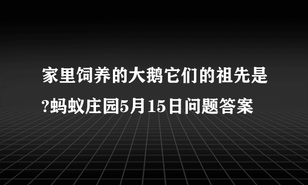 家里饲养的大鹅它们的祖先是?蚂蚁庄园5月15日问题答案