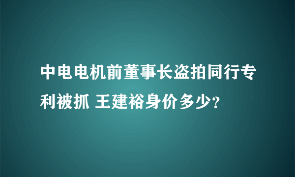 中电电机前董事长盗拍同行专利被抓 王建裕身价多少？