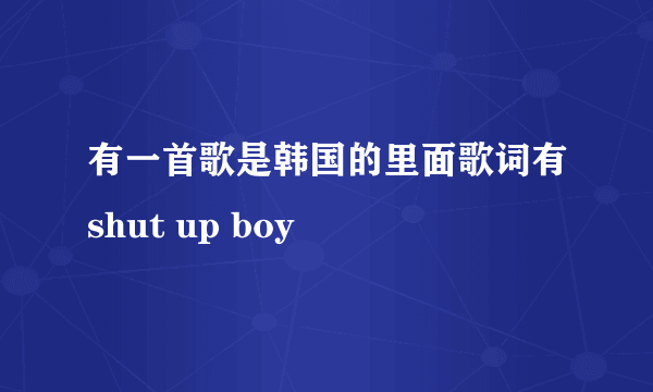 有一首歌是韩国的里面歌词有shut up boy