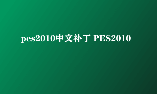 pes2010中文补丁 PES2010