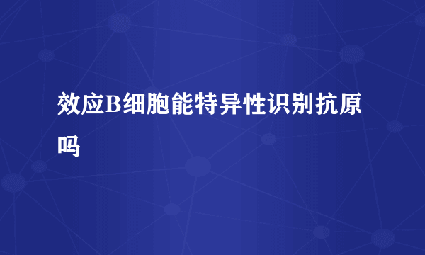 效应B细胞能特异性识别抗原吗