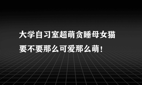 大学自习室超萌贪睡母女猫 要不要那么可爱那么萌！