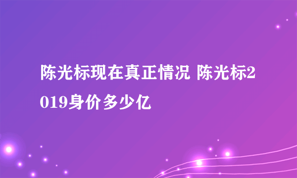 陈光标现在真正情况 陈光标2019身价多少亿