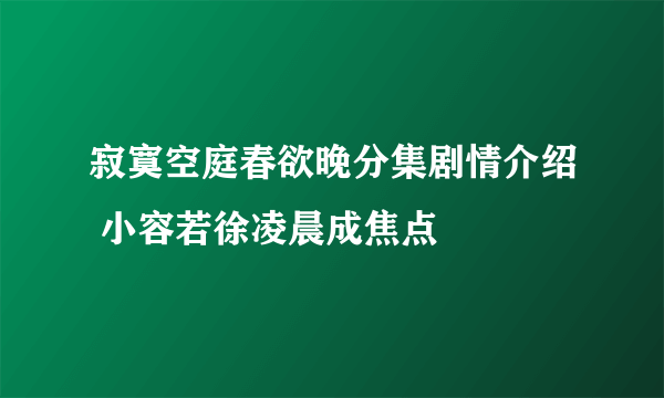 寂寞空庭春欲晚分集剧情介绍 小容若徐凌晨成焦点