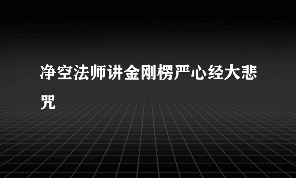 净空法师讲金刚楞严心经大悲咒