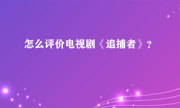 怎么评价电视剧《追捕者》？