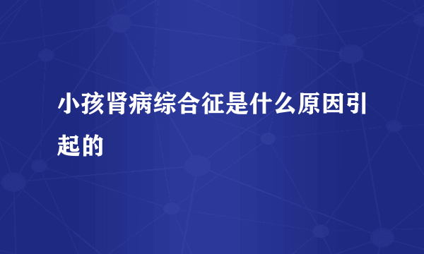 小孩肾病综合征是什么原因引起的