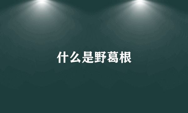 什么是野葛根