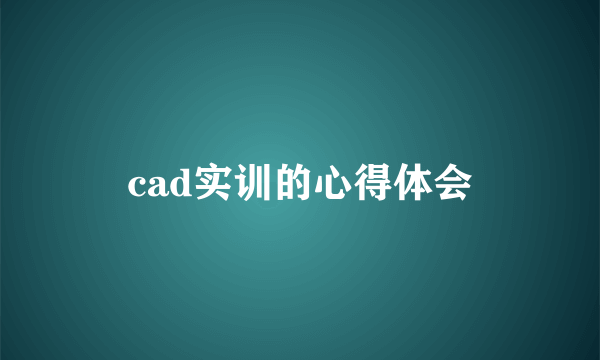 cad实训的心得体会