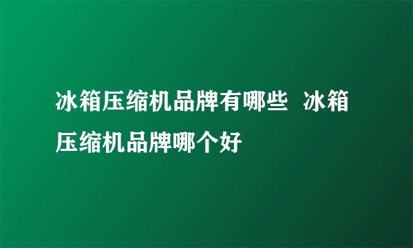 冰箱压缩机品牌有哪些  冰箱压缩机品牌哪个好